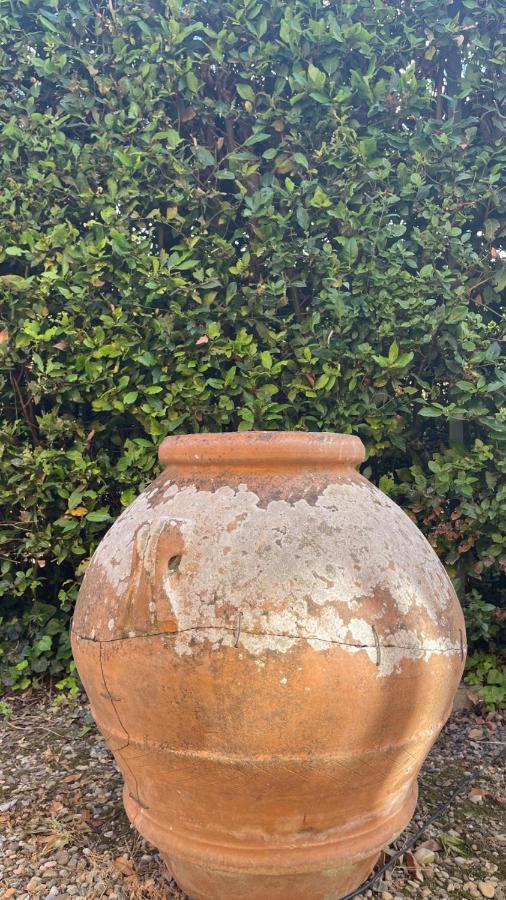 La Limonaia Villa Florence Ngoại thất bức ảnh